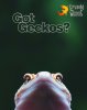 Got Geckos.jpg
