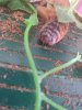 IMG_20200801_083047.jpg