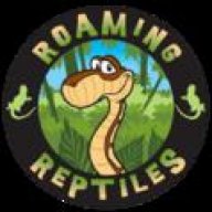 Roaming Reptiles