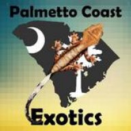 PalmettoCoastExotics