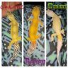 geckos galore