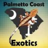 PalmettoCoastExotics
